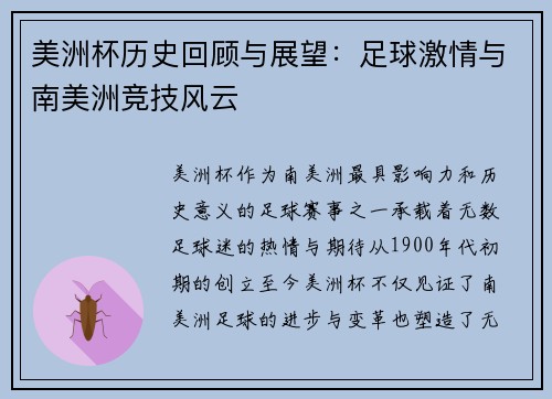 美洲杯历史回顾与展望：足球激情与南美洲竞技风云