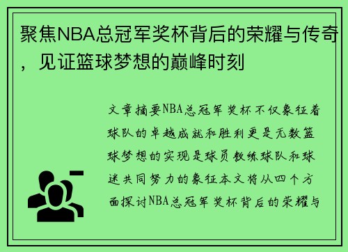 聚焦NBA总冠军奖杯背后的荣耀与传奇，见证篮球梦想的巅峰时刻